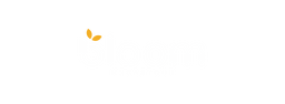 Bloom MegaStore Logo